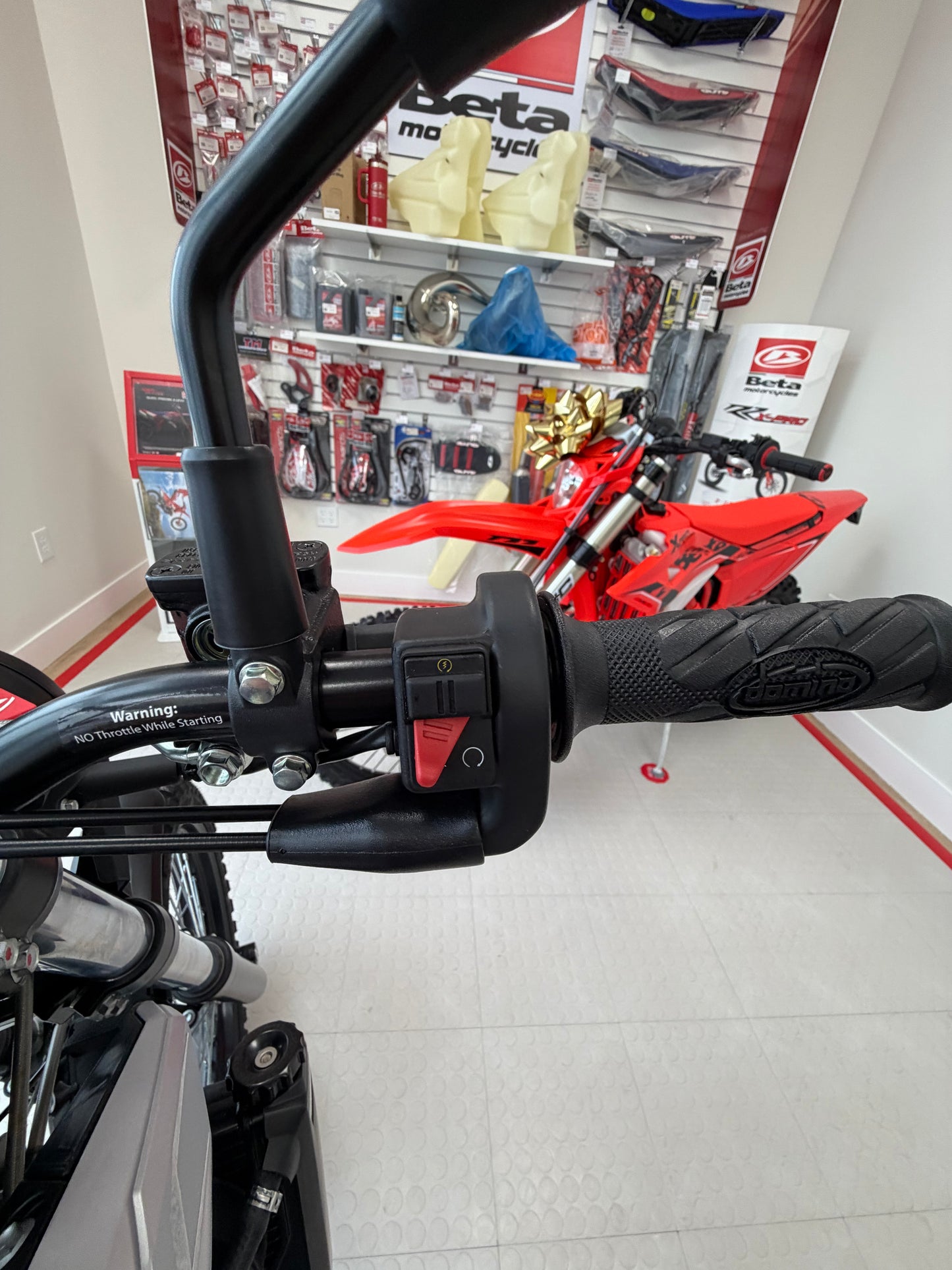 2026 - Beta 350 ALP X Light Gray (In stock)