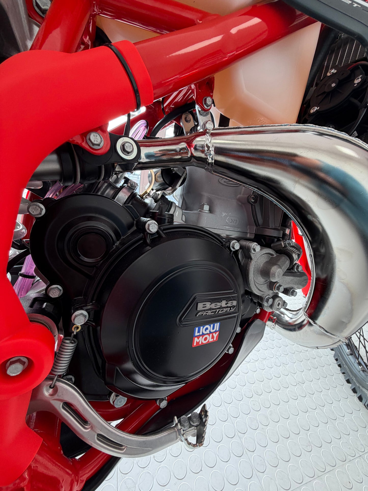 2026 Beta XTrainer 2 inch Low Boy