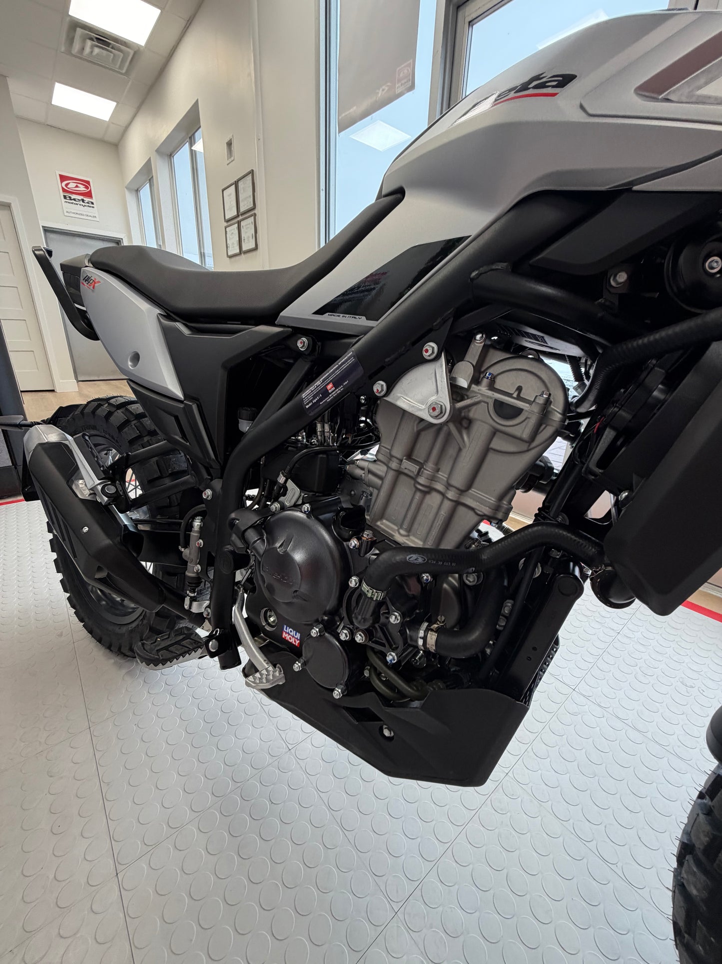 2026 - Beta 350 ALP X Light Gray (In stock)