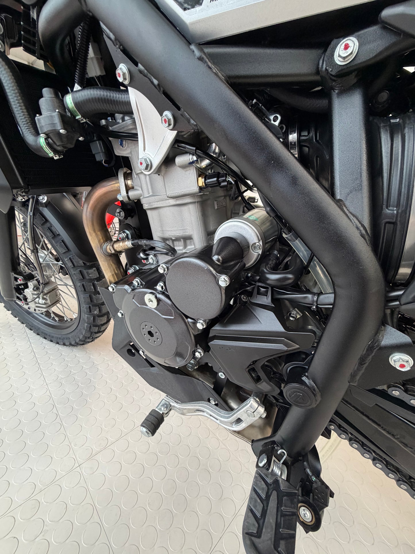 2026 - Beta 350 ALP X Light Gray (In stock)