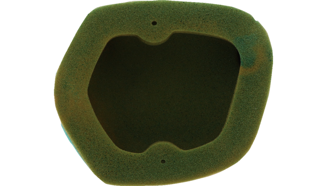 Twin Air Factory Pre-Oiled Air Filter
