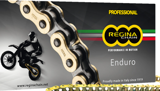 Regina 520 ZSE Series Chain 120 Link